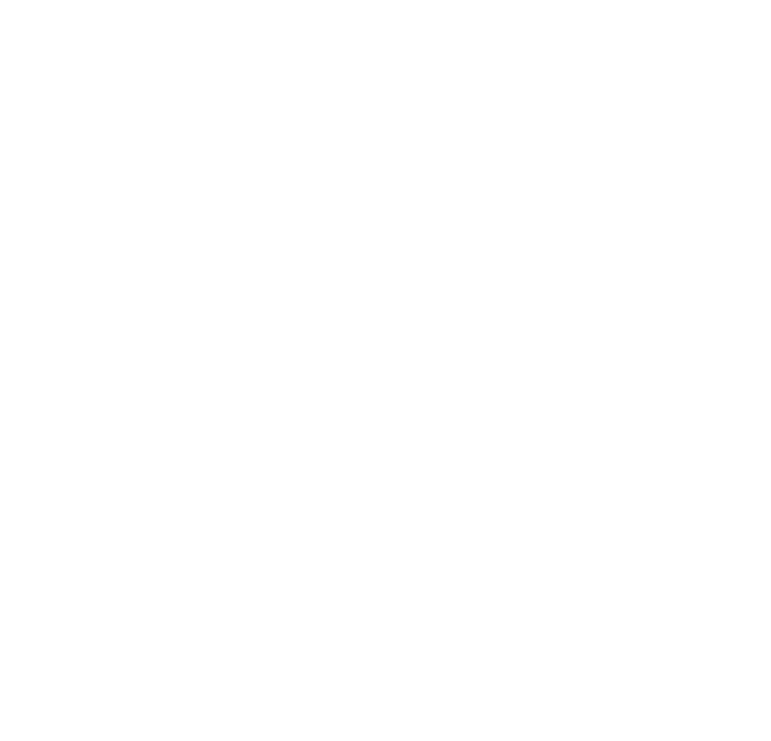 Lion Logo
